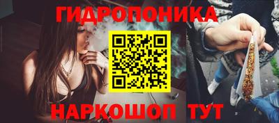 Альфа ПВП Канаш