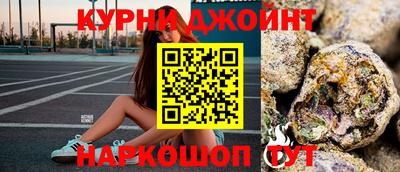 гидра Камышлов