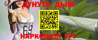 гидра Камышлов
