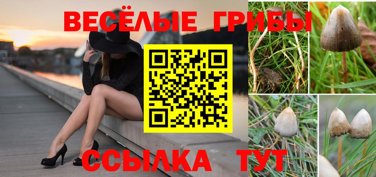 цена наркотик  Галлюциногенные грибы MAGIC MUSHROOMS  Вход с VPN  Псилоцибиновые грибы прущие грибы  Ишимбай 
